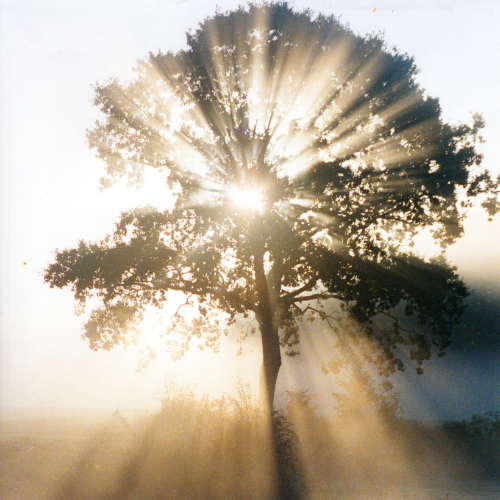 A solid foundation for higher education and beyond