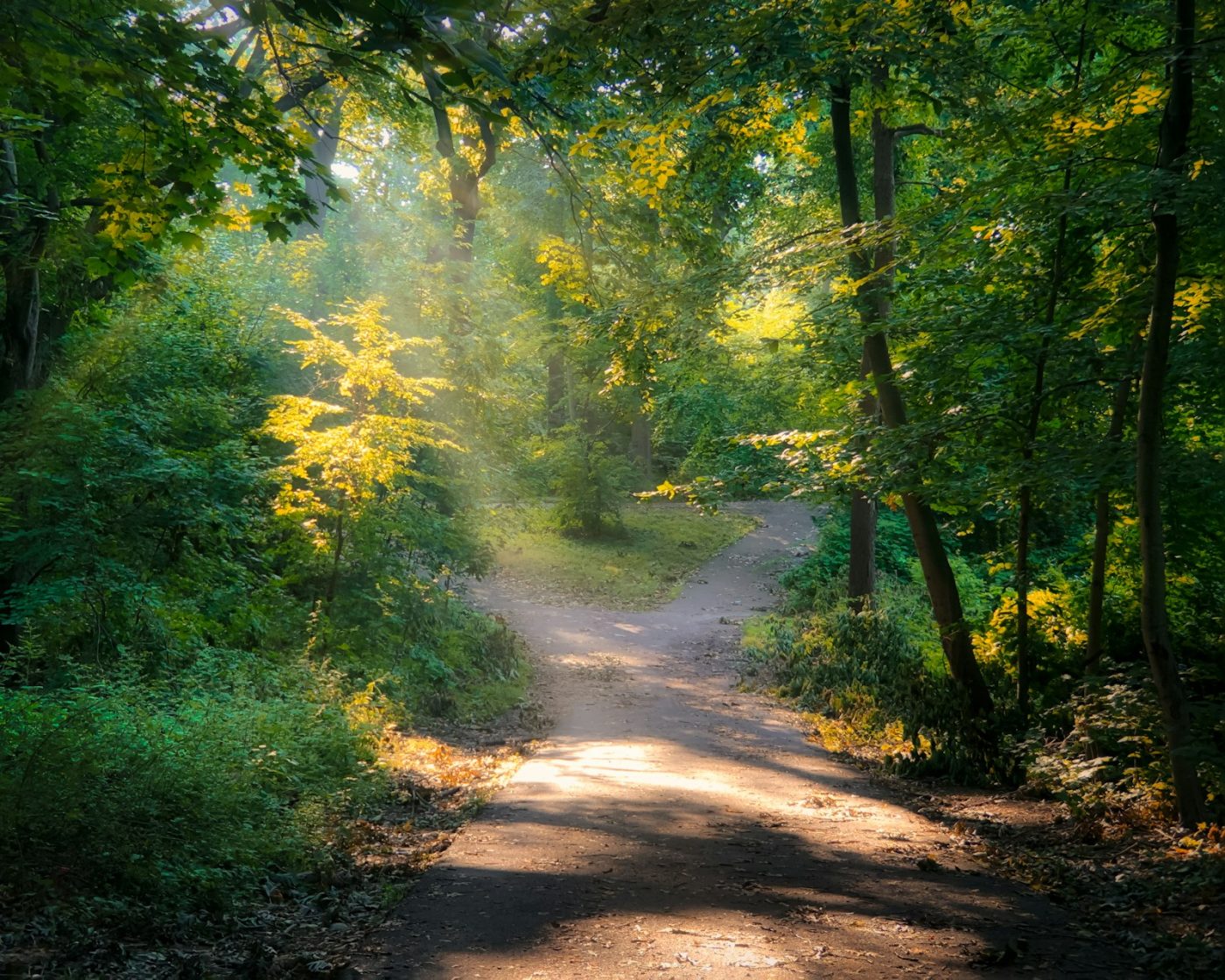 Healing Retreats